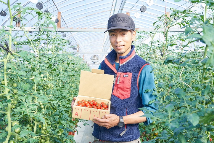 【中土佐町】アウトドア好き必見！ふるさと納税日本一のミニトマトを一緒に作りませんか